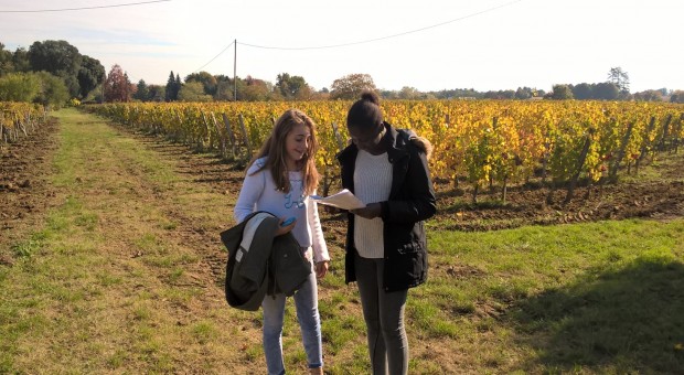 VISITE de vignobles en famille - BORDEAUX