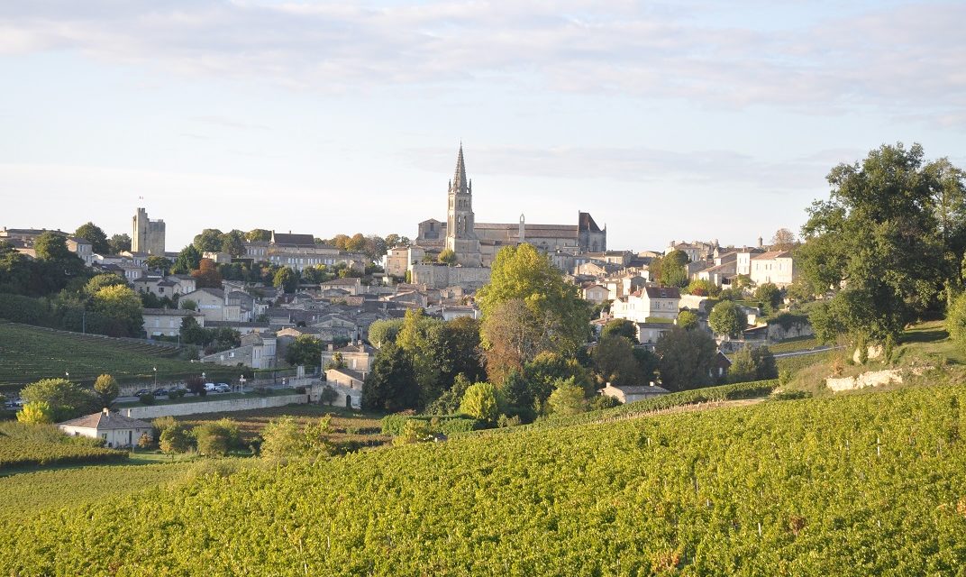 visite et dégustation de vins à saint emilion, balade à vélo guidée sur la route des chateaux