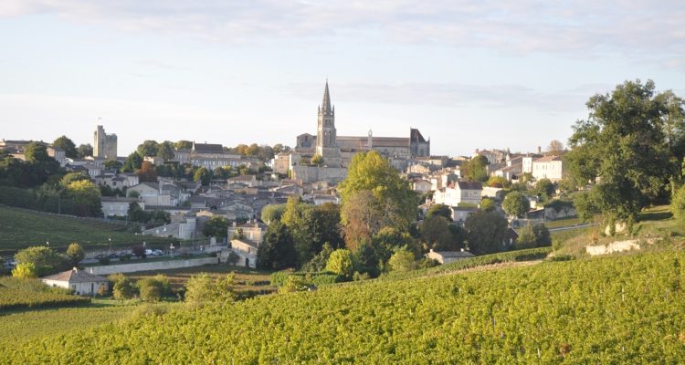 visite et dégustation de vins à saint emilion, balade à vélo guidée sur la route des chateaux