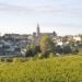 visite et dégustation de vins à saint emilion, balade à vélo guidée sur la route des chateaux