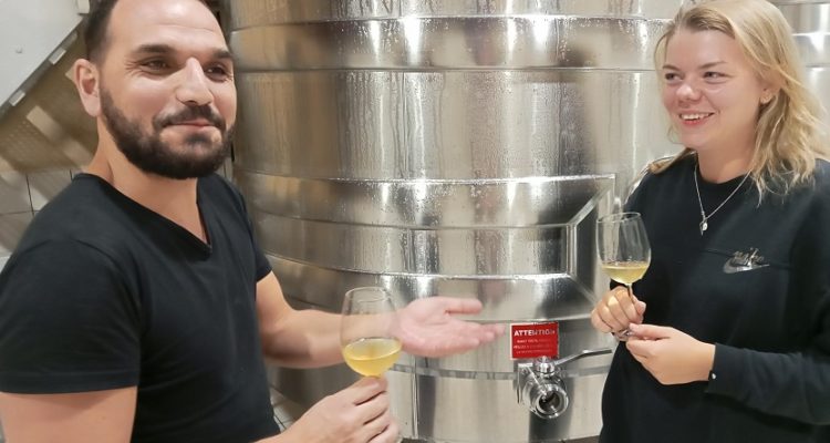 deguster et visiter les caves d'un chateau à bordeaux pendant les vendanges