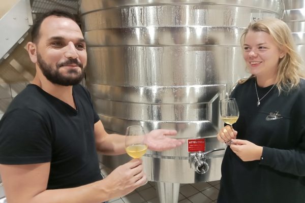 deguster et visiter les caves d'un chateau à bordeaux pendant les vendanges